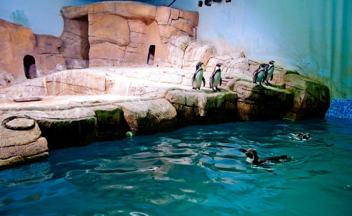  Ocean Aquarium Park u Protarasu 